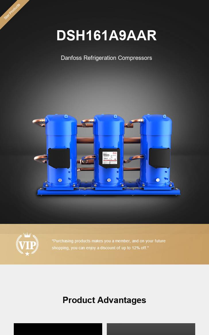 Danfoss Compressor DSH161A9AAR, technical parameters pdf, structure diagram